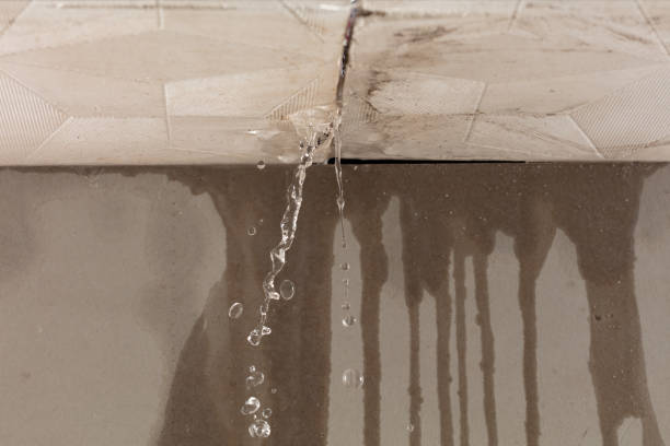 Professional Structural Drying technician working in Mount Olive, MS